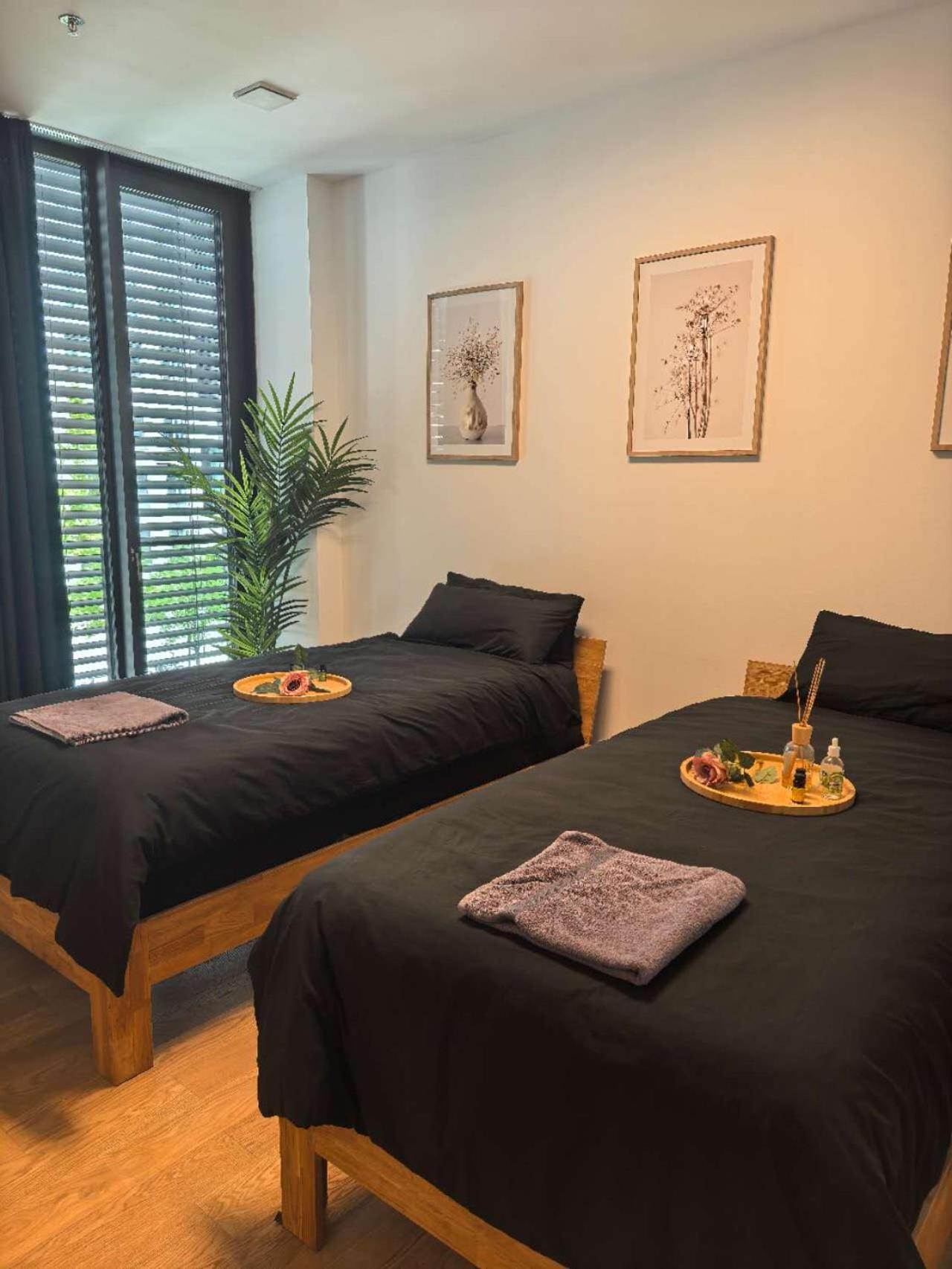 Am Hirschgarten - Zentral Gelegen Appartement